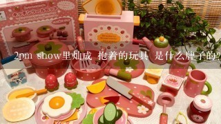 2pm show里灿成 抱着的玩具 是什么牌子的?有图