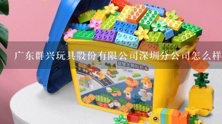 广东群兴玩具股份有限公司深圳分公司怎么样？