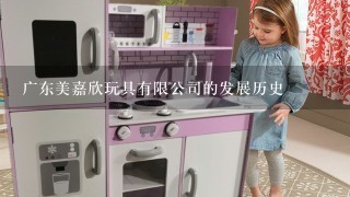 广东美嘉欣玩具有限公司的发展历史