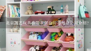 北京凯艺玩具有限责任公司通州分公司介绍？