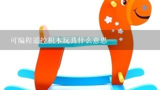 可编程遥控积木玩具什么意思