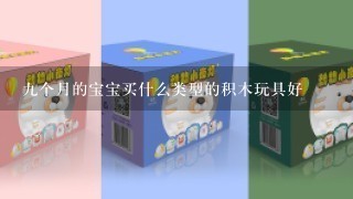 9个月的宝宝买什么类型的积木玩具好