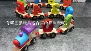 有哪些猫玩具适合买给猫咪玩呢？