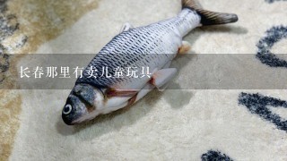 长春那里有卖儿童玩具