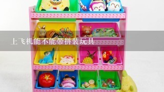 上飞机能不能带拼装玩具