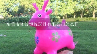 东莞市隆益塑胶玩具有限公司怎么样