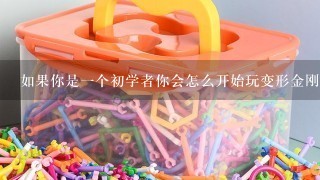 如果你是一个初学者你会怎么开始玩变形金刚玩具呢